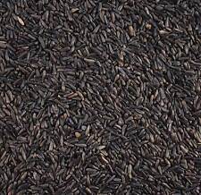Niger seed hochenergetische gebraucht kaufen  Versand nach Germany