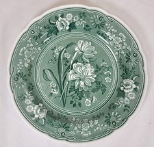 Spode plate botanical for sale  BEDALE