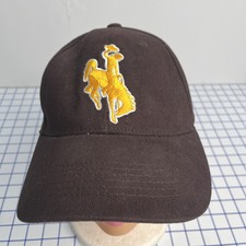 Captivating head gear for sale  Pinedale