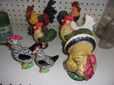 A27 older chicken for sale  Sodus Point