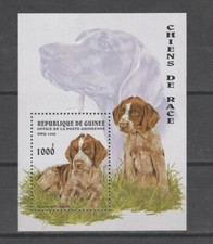 Guinee chiens race d'occasion  France