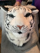 white tiger for sale white tiger for sale GLASGOW