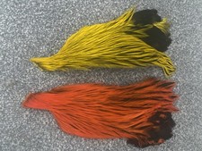 Lakeland dyed badger for sale  ILKESTON