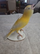 Bird yellow canary for sale  Horicon