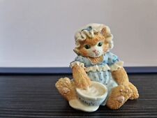 Calico kittens finicky for sale  STRATFORD-UPON-AVON