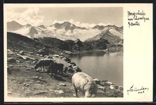 Foto hans hruschka gebraucht kaufen  Berlin