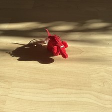 Perlsacktier gebraucht kaufen  Butzbach