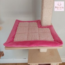 Fuchsia pink pet for sale  CREWE