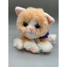 Kitty kitty baby for sale  Milltown
