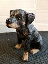 Small rottweiler dog for sale  Long Beach
