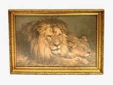 Antique print lion for sale  Broken Arrow