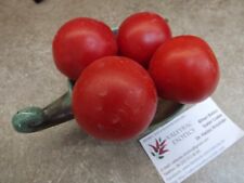 Pomodoro mela russo usato  Spedire a Italy