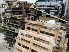 Free wooden pallets for sale  CARLUKE