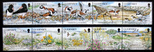 Guernsey 1991 nature for sale  PLYMOUTH