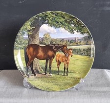 Spode english thoroughbred for sale  SEVENOAKS