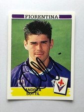 Andrea sottil panini usato  Guidonia Montecelio