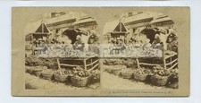 Market stalls peasants for sale  SOUTH MOLTON