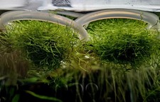 acquario rotondo usato  Feldthurns