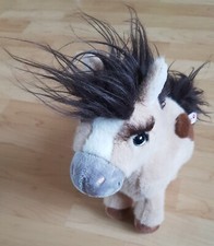 Nici pferd pony gebraucht kaufen  Coswig