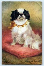 Postcard japanese spaniel for sale  LLANFAIRFECHAN