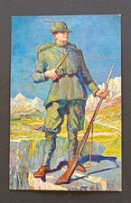 Cartolina alpino guardiano usato  Milano