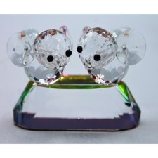 Pair baby birds for sale  Batavia