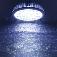 30W/15W Branco Frio 10000K ~ 15000K lâmpada Led Spot Lâmpada Planta PAR38 Aquário comprar usado  Enviando para Brazil