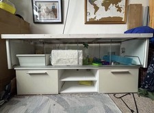 Large hamster cage for sale  EXETER