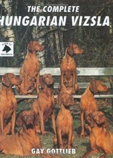 Complete hungarian vizsla for sale  ROSSENDALE