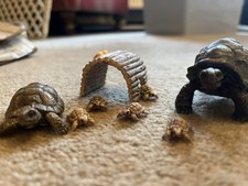 Tortoise bundle schleich for sale Tortoise bundle schleich for sale  AMERSHAM