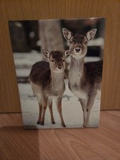 kunstposter gebraucht kaufen kunstposter gebraucht kaufen  Hamburg