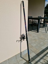 Canna pesca lineaeffe usato  Ivrea