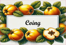 Coing etiquettes vinyle d'occasion  Ingwiller