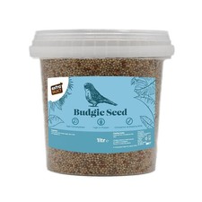 Extra select budgie for sale  MANCHESTER