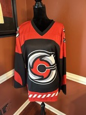 Echl cincinnati cyclones for sale  Louisville