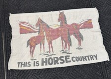 Vintage western horse for sale  Crossville