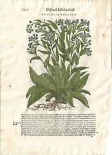 Stampa antica mattioli usato Stampa antica mattioli usato  Lecco