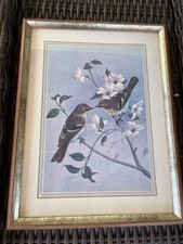 Vtg framed bird for sale  Pelzer