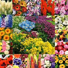 Steingarten blumen stauden gebraucht kaufen  Aulendorf