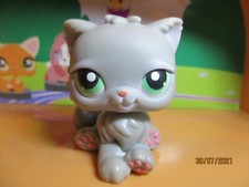 Petshop cat persian d'occasion  Expédié en Belgium