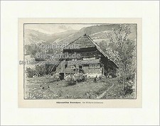 Schwarzwälder bauernhaus walm gebraucht kaufen  Grabenstätt