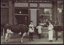 Ronchin butchery d'occasion  Expédié en Belgium
