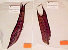 Packets dyed cock for sale  CONSETT