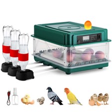 Eggs incubator chicken for sale  WORCESTER