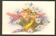 Chat panier osier d'occasion Chat panier osier d'occasion  Baugy