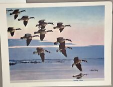 Landing pattern richard for sale  Brookfield