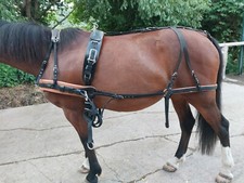 fahrsport gebraucht kaufen fahrsport gebraucht kaufen Deutschland