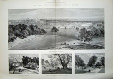 Old antique print for sale  UK