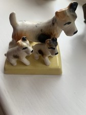 fox terrier dogs for sale  HITCHIN