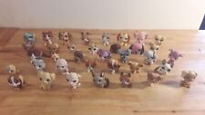 Używany, Petshop Lps Hasbro Chien Teckel bouledog chihuahua ... aux ckoix na sprzedaż  Wysyłka do Poland